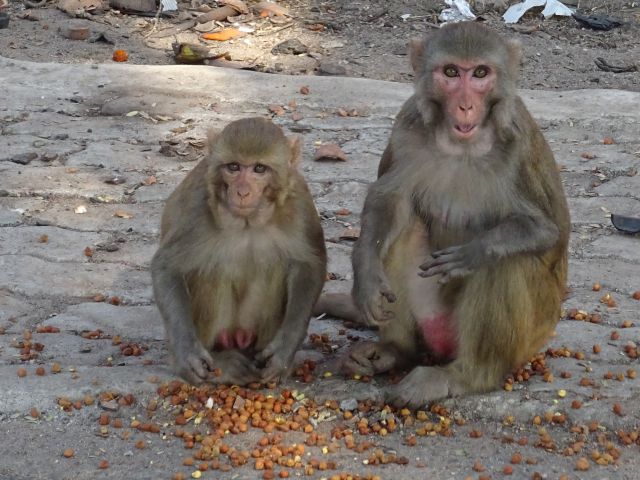 Guwahati